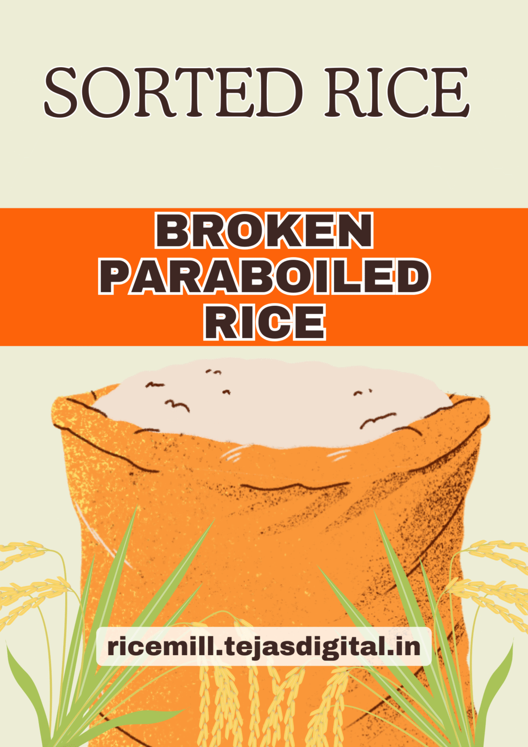 Premium Broken Parboiled Rice | Ricemil by Tejas Digital