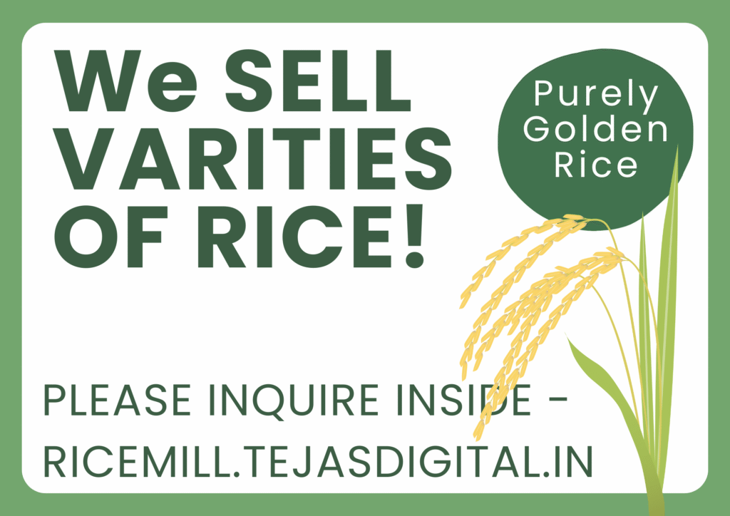 Varieties of Rice in our ricemill