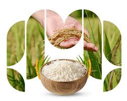 Sona Masuri steamed and parboiled rice grains